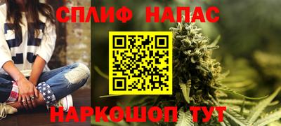 сатива Кимры