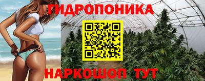 сатива Кимры