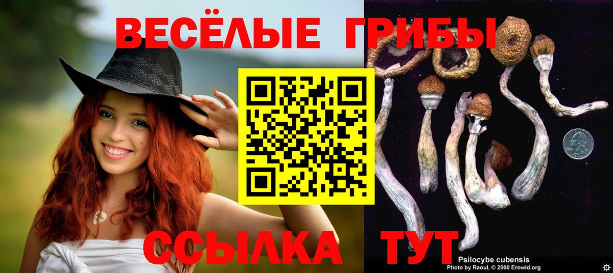 Галлюциногенные грибы мухоморы  Вход с VPN  Кострома  Галлюциногенные грибы MAGIC MUSHROOMS 